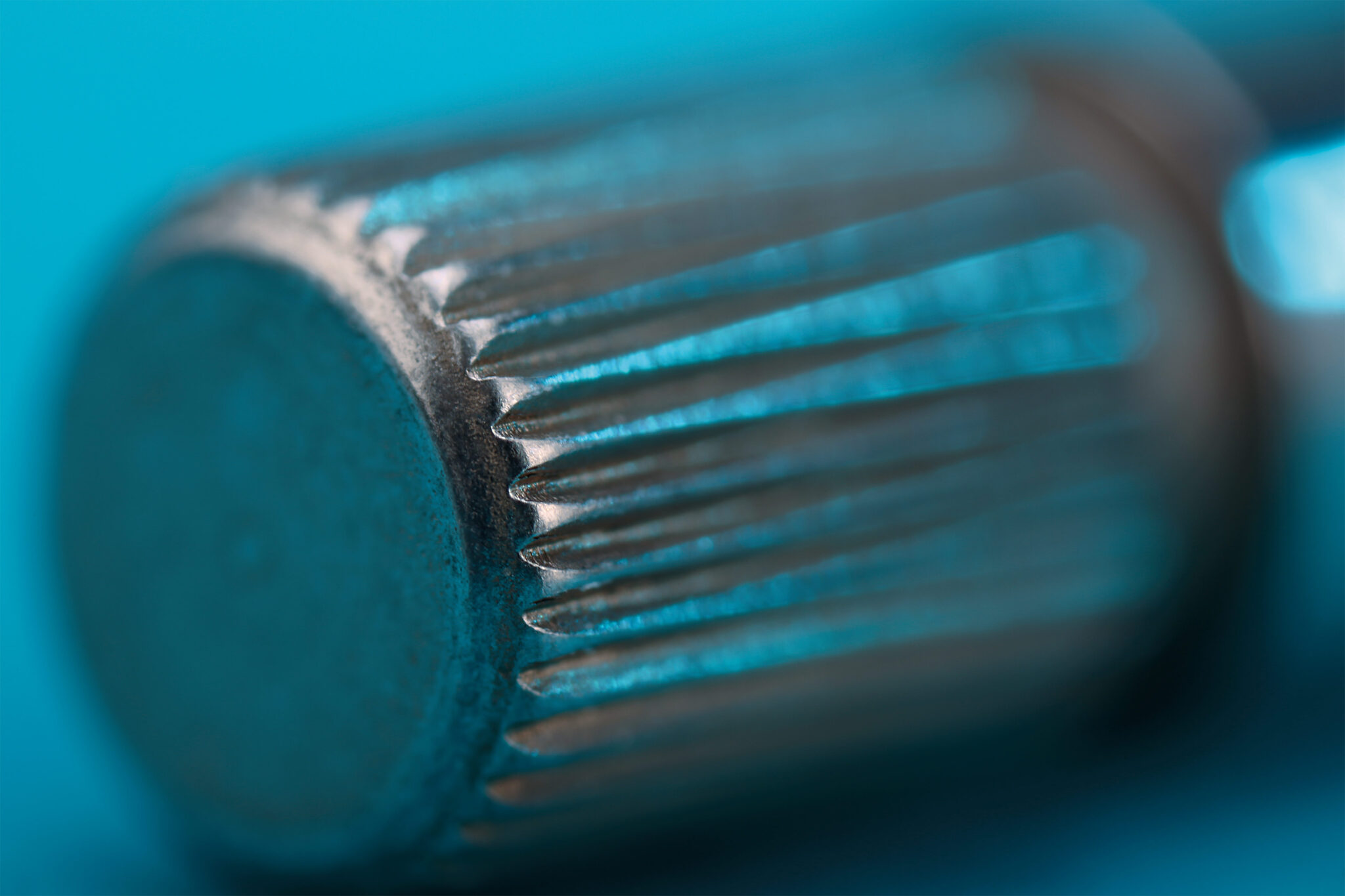 Kalender_Dietz_2024-Motiv-01