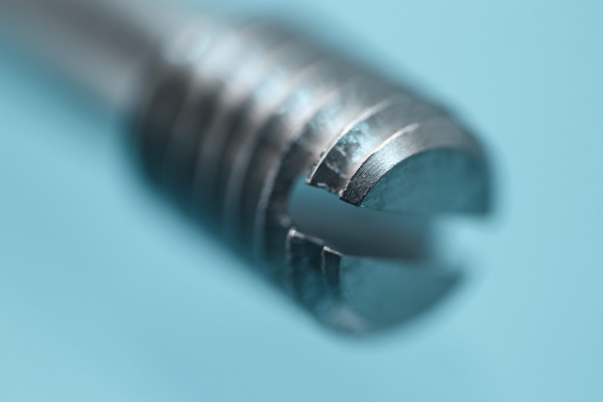 Kalender_Dietz_2024-Motiv-04